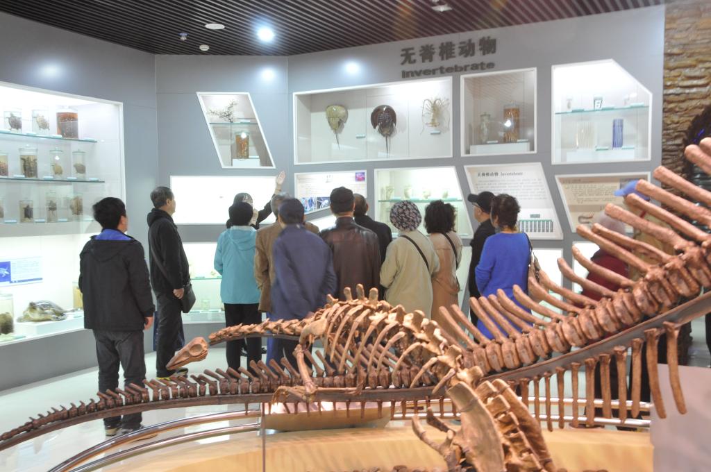 动植物展览馆参观现场